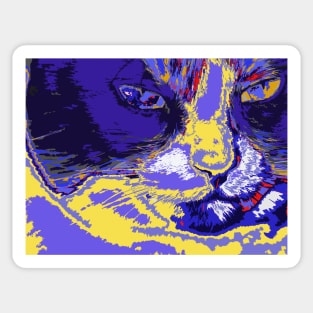 Cat in abstract colors Sticker